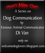 communicating with dogs