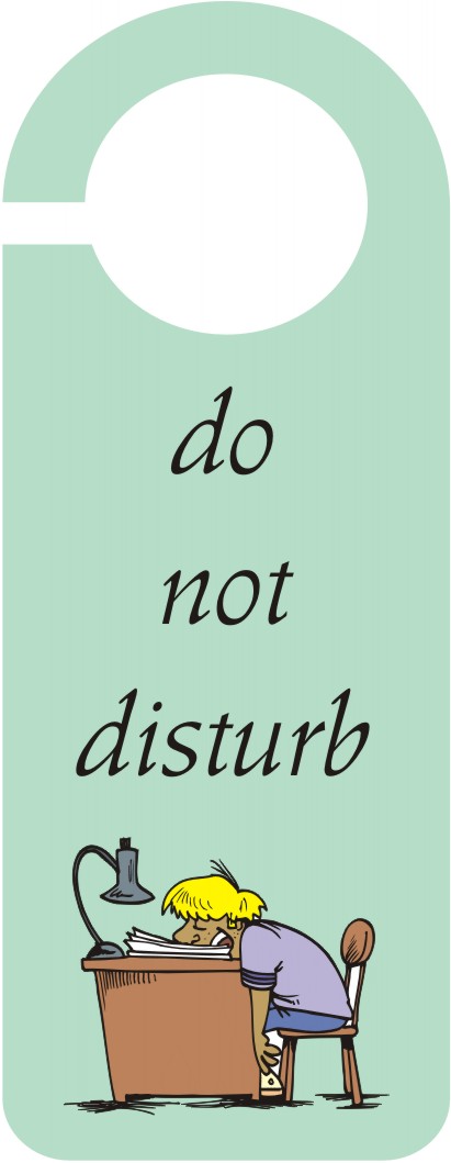 Dont Disturb Sign