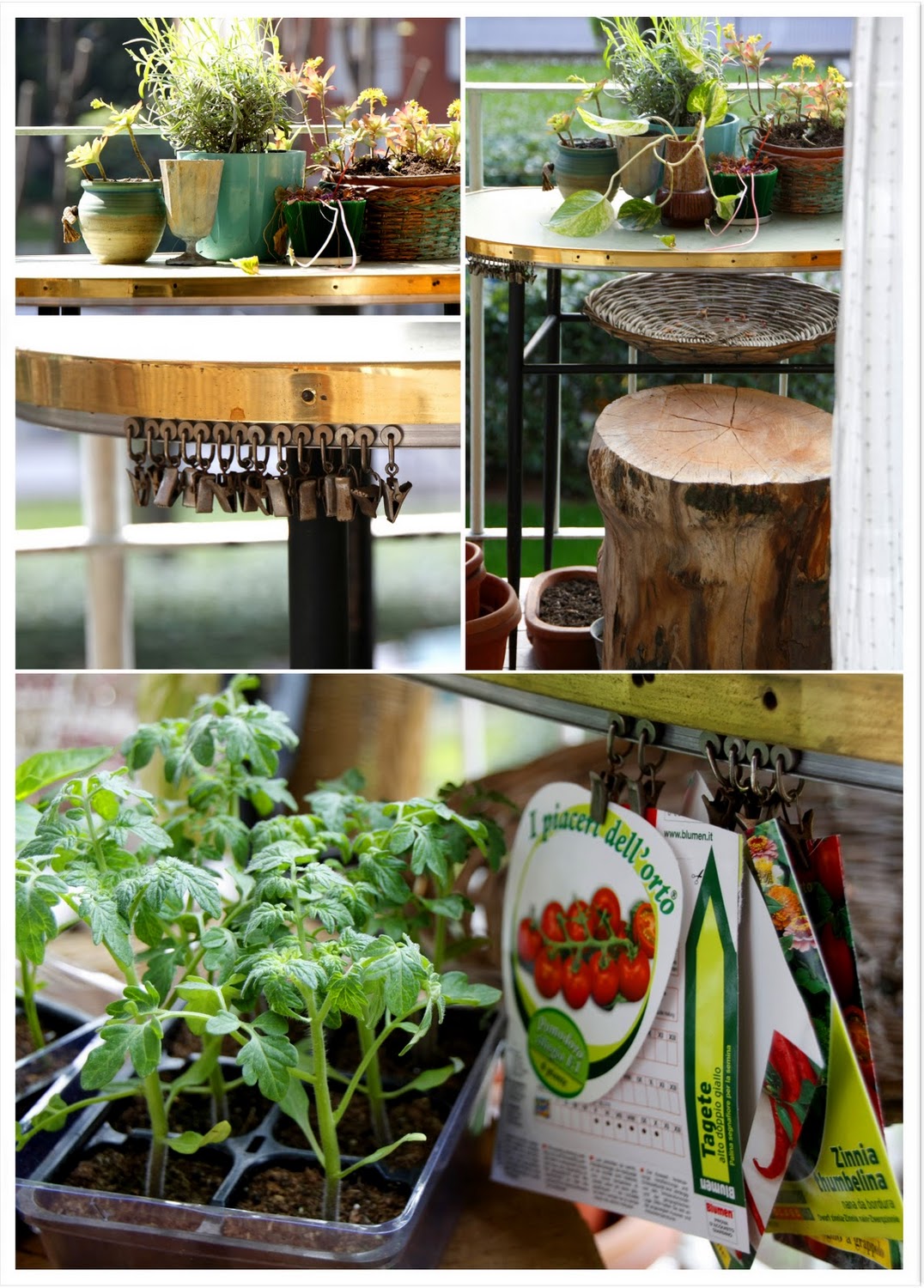 I giardini dei mestieri designer e artista blossom zine blog