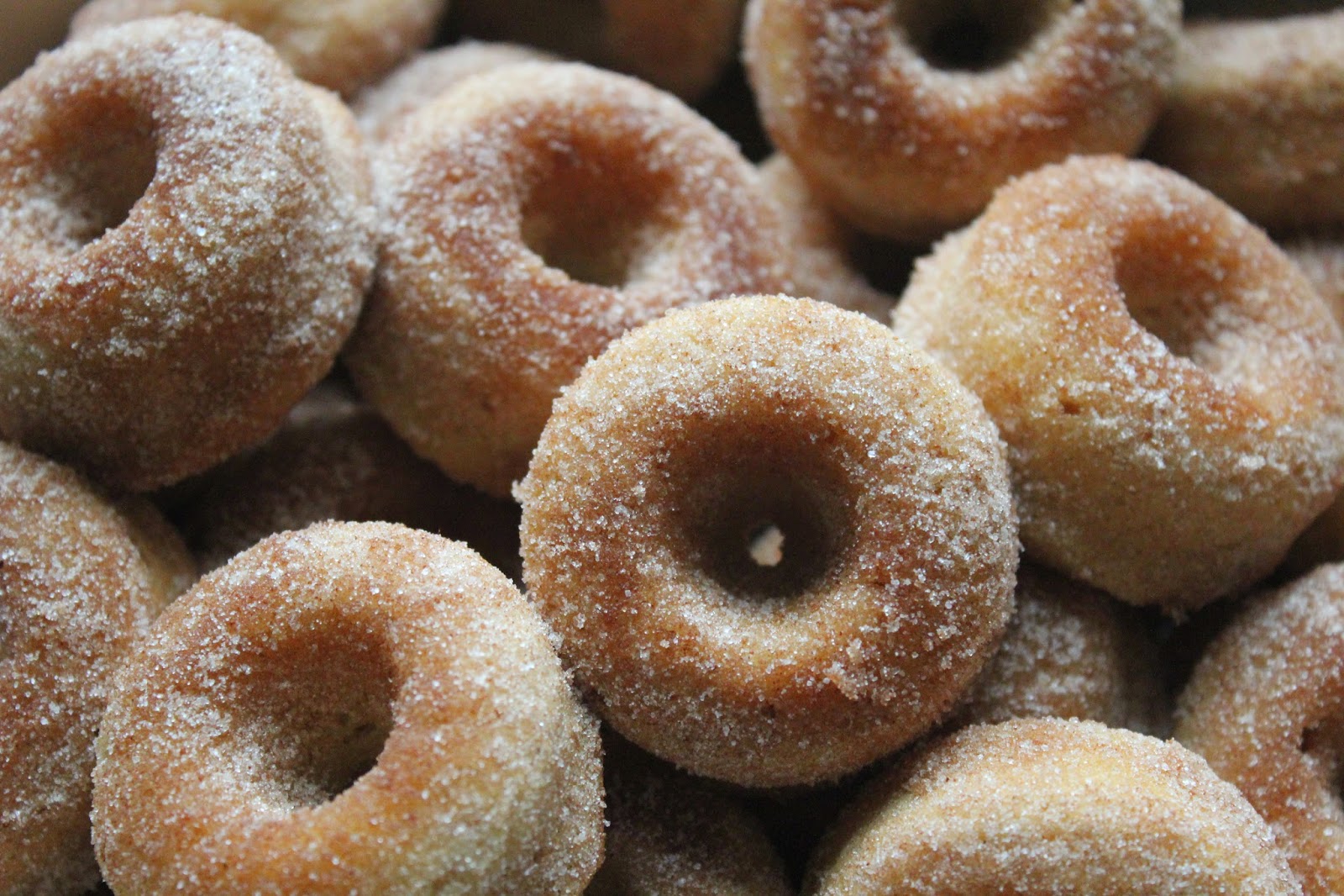 Delicious Dishings Mini Baked Apple Cider Doughnuts