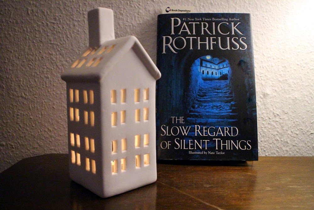 Cover Synopsis: The Slow Regard of Silent Things by