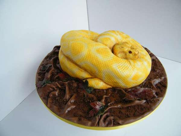 Snake Cake is Delicious |The Odd Blogg