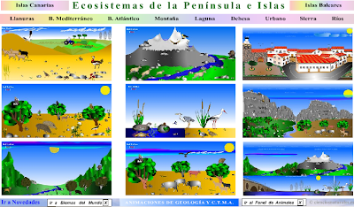 ECOSISTEMAS PENÍNSULA E ISLAS