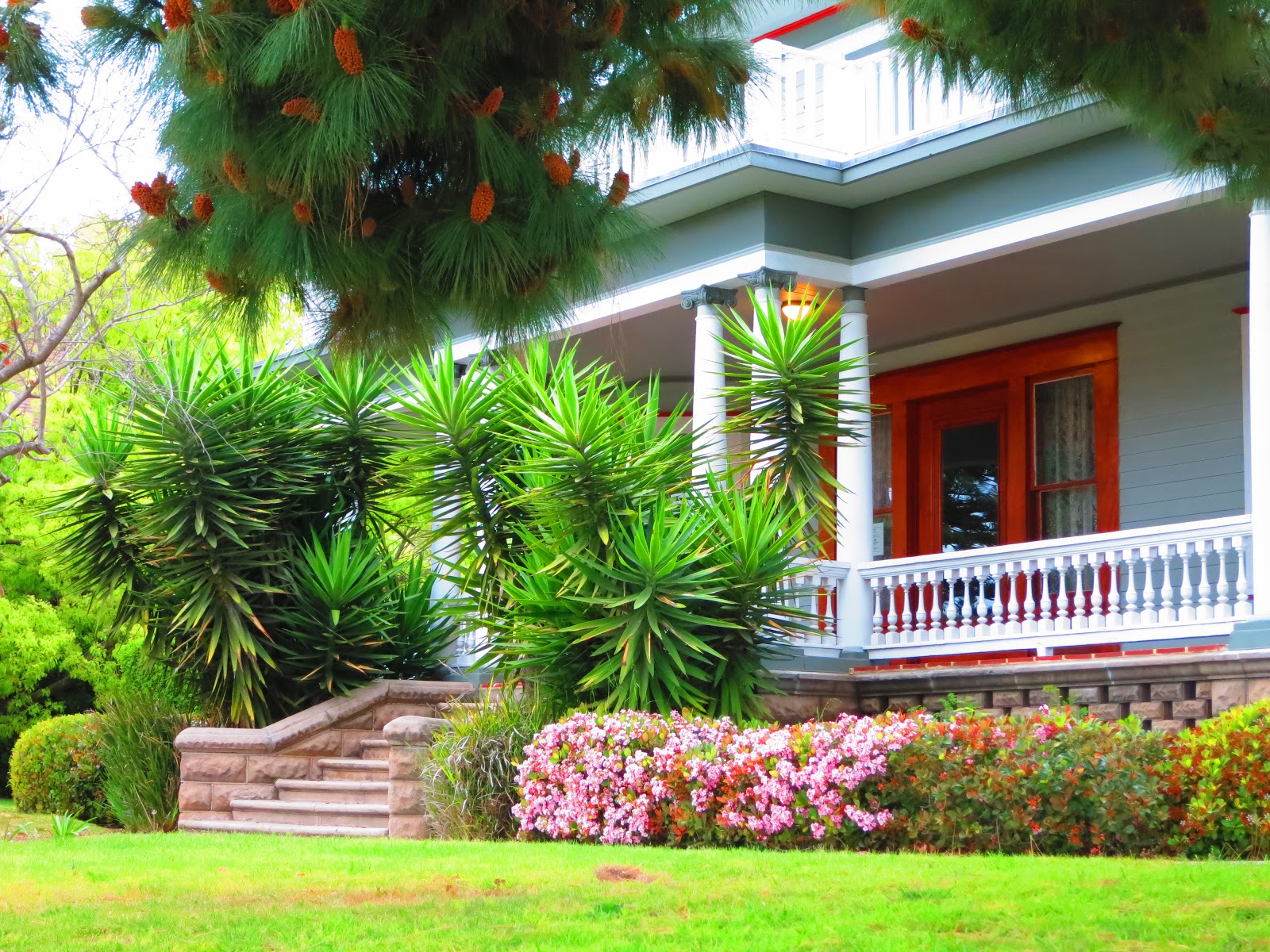 My Vintage Journeys VINTAGE & TRENDYGOLDEN HILL, SAN DIEGO