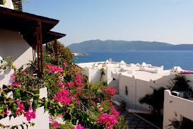 Forever Club Official Website