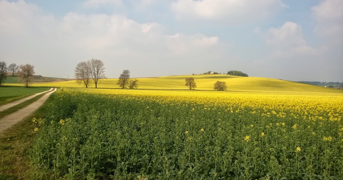 100 Wasser 20 Tage Gebaude