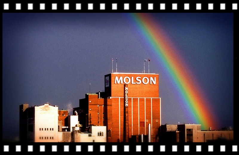 Piss On Montreal
