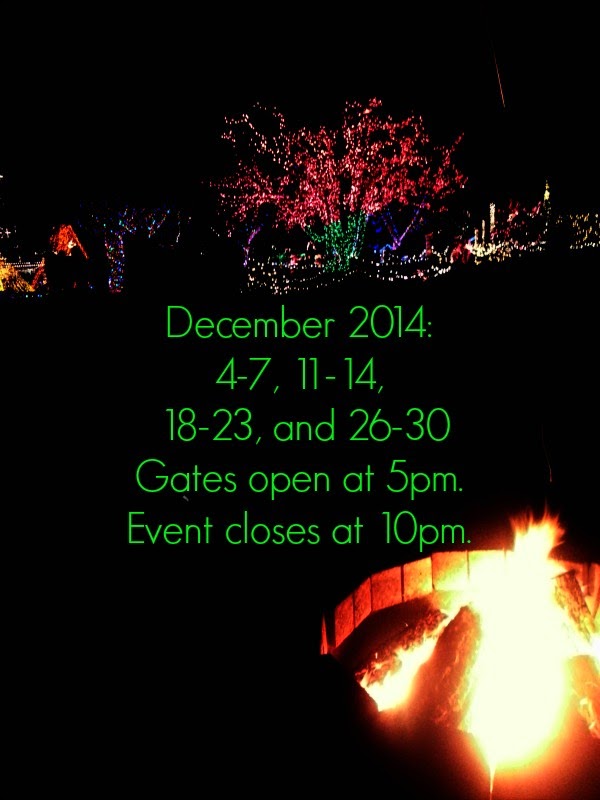 The Pierogie Mama Lights Extravaganza! Lights of Christmas at Warm Beach