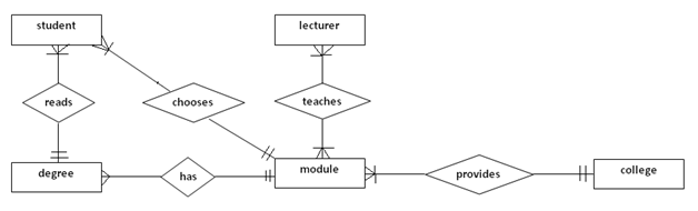 shaping curiosity: Entity Relationship Diagram (Car Rental and Student