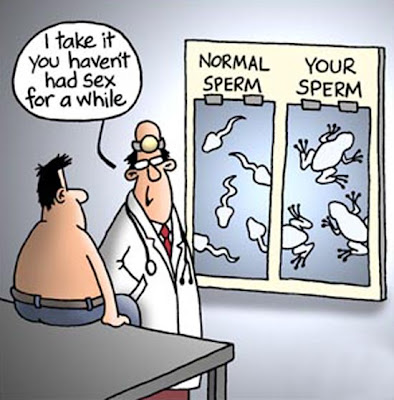 Normal Sperm