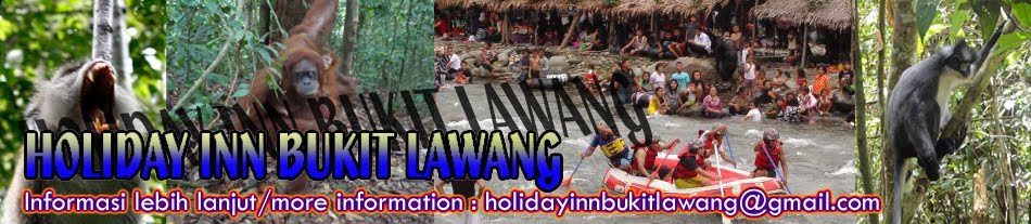 HOLIDAY INN BUKIT LAWANG