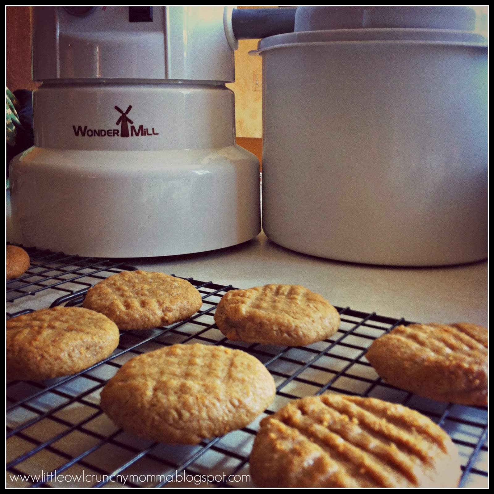 LittleOwlCrunchyMomma Whole Wheat Peanut Butter Cookies (Sweetened