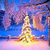 Wallpapers de Navidad - Feliz Navidad - Árbol navideño iluminado 