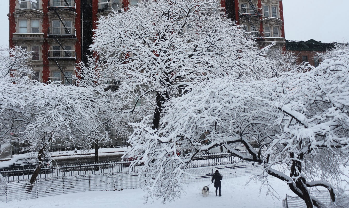 Just walk on by brent staples discussion questions and answers image