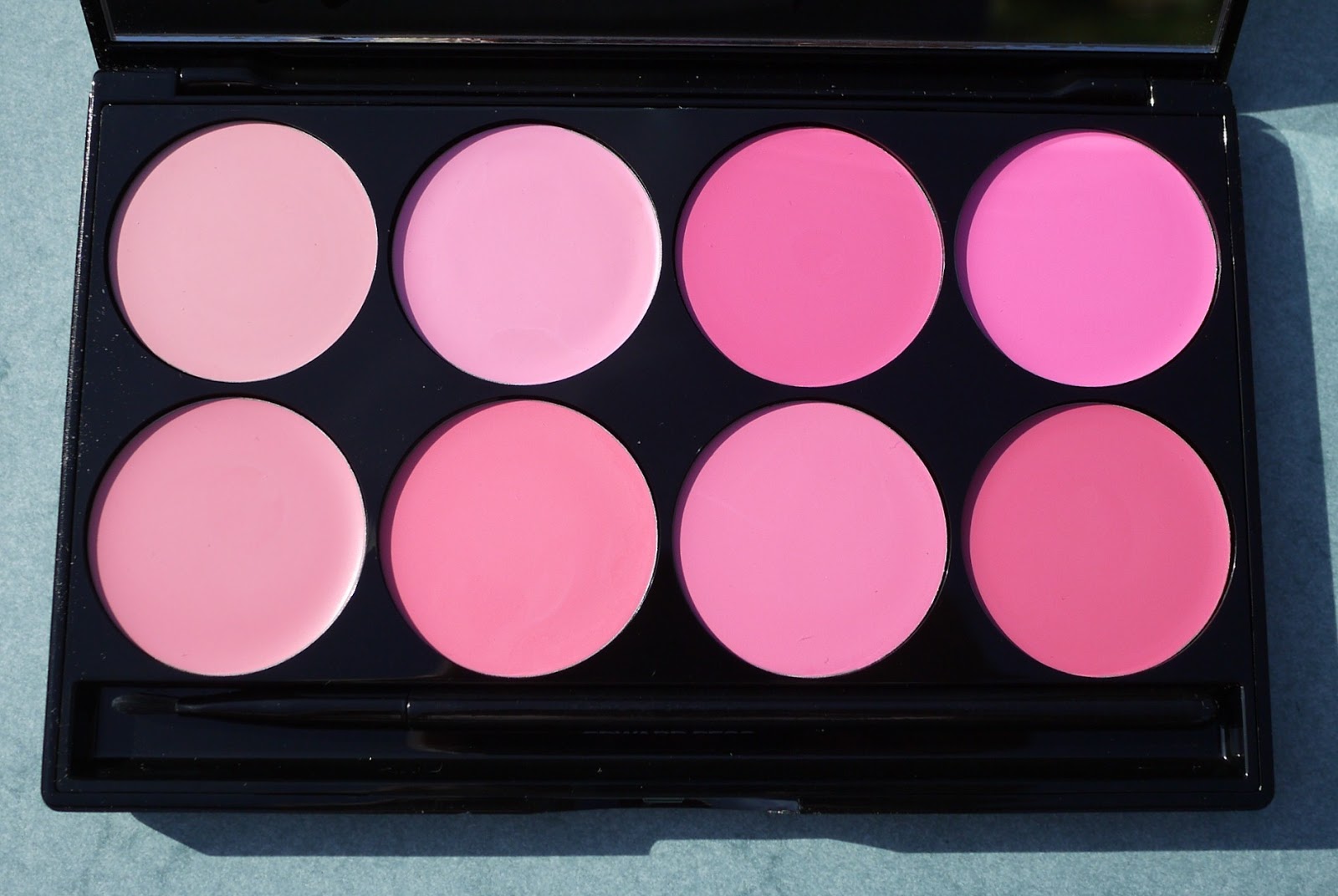 Best Things in Beauty Edward Bess Baby Pink Lip Palette