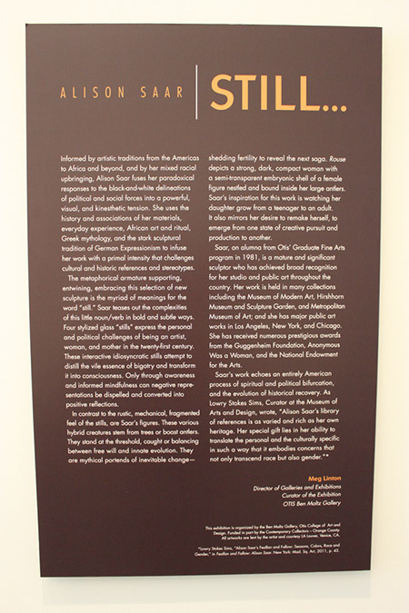 Alison Saar - Still... Photograph of the Introduction of the Saar exhibit details.