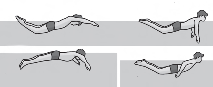 Agya Kupu-Kupu Malam: Simbol Misteri dan Kecantikan di Balik Sayapnya