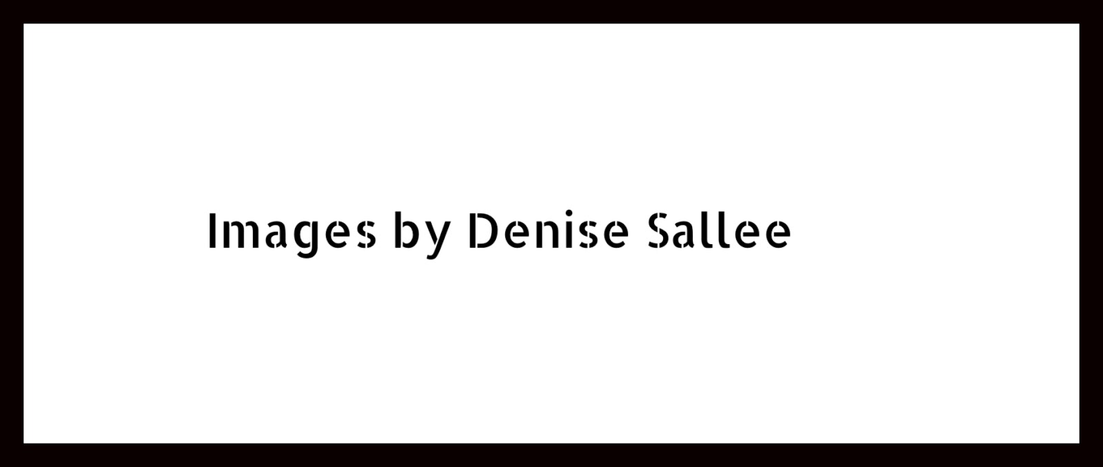 Images by Denise Sallee