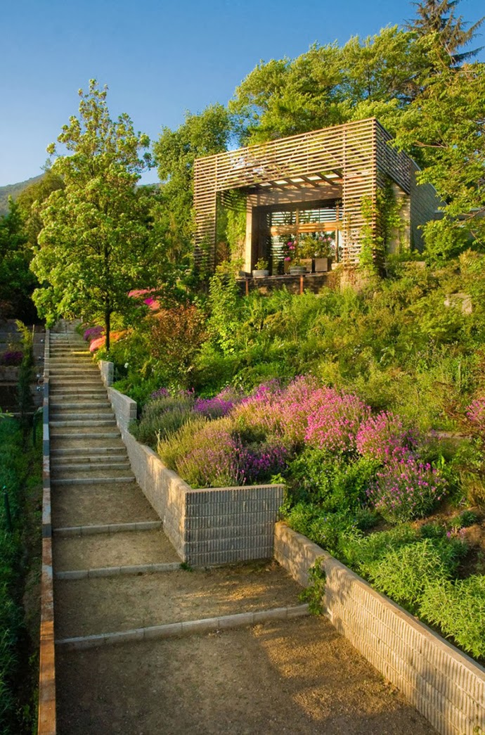 Dosis Arquitectura: Excepcionales ideas para el patio trasero de su casa.
