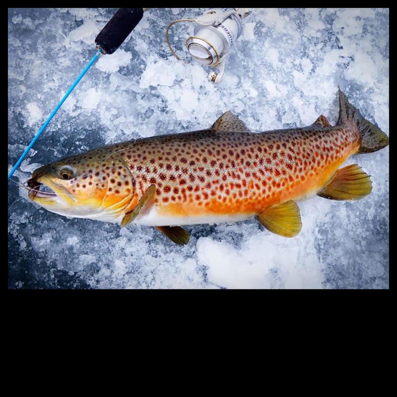 Living Fly Legacy DIY Ice Fishing Automatic Hook Setter