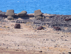 Moai toppled from Ahu (and Topknot Pokhoa in front), Akahanga, Easter Island