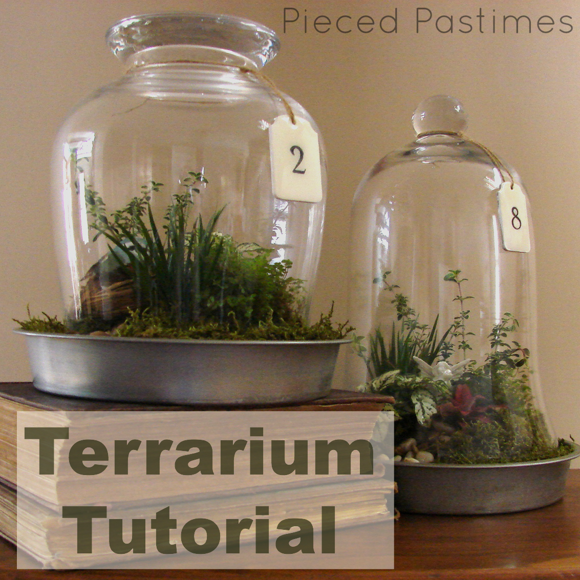 pieced pastimes terrarium tutorial pieced pastimes terrarium tutorial