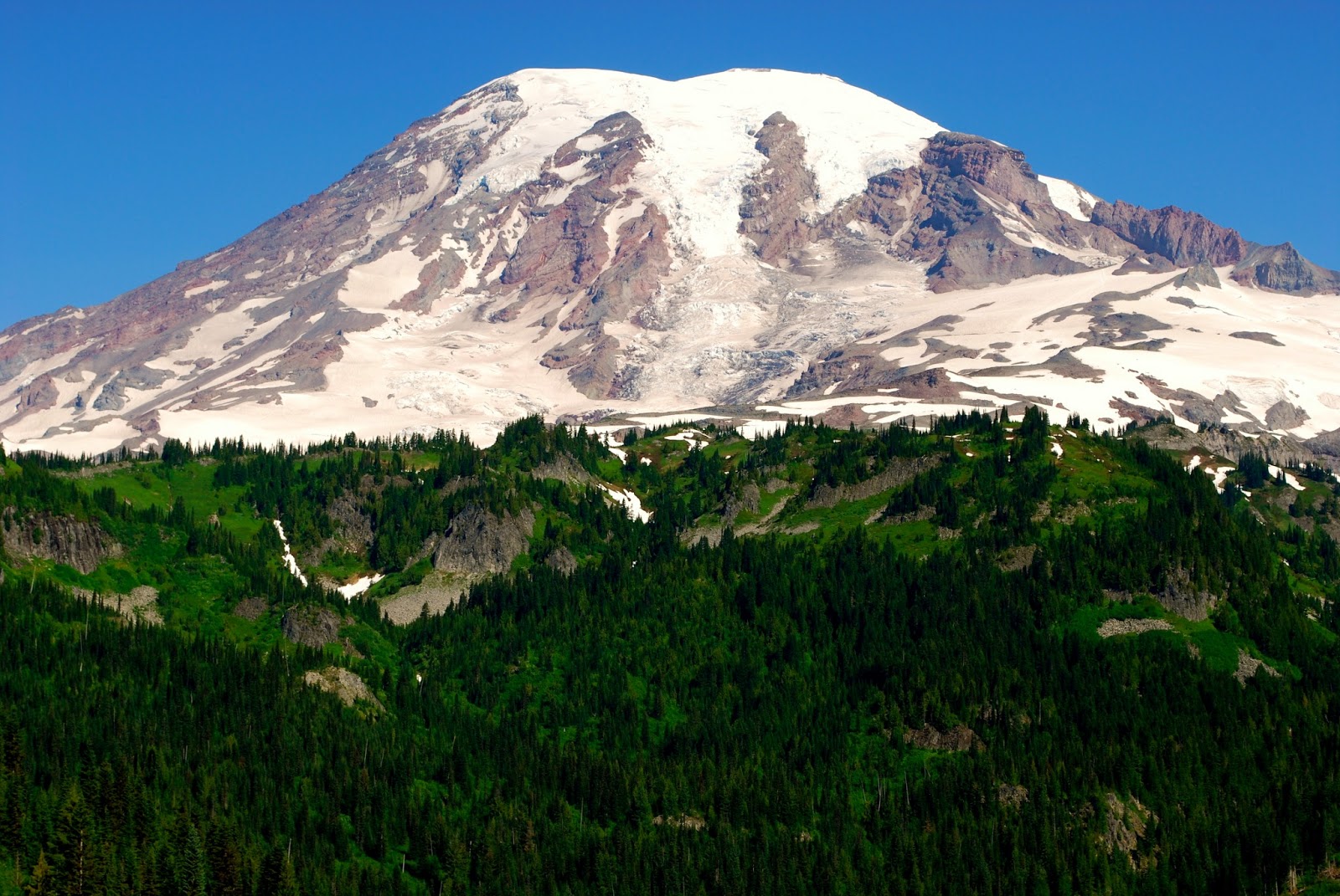 Wanderlust Traveler Mount Rainier National Park