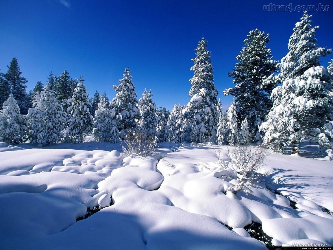 Curiosidades: Como Cai a Neve?