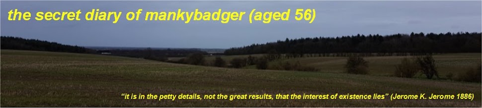 The Secret Diary of Manky Badger