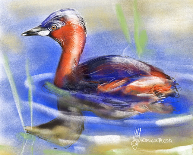 Little grebe bird painting by Artmagenta
