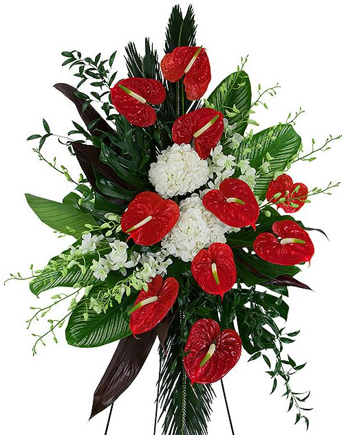 Jakie Kwiaty Wybrac Na Pogrzeb 10 Najpopularniejszych Rodzajow Kwiatow Do Wiazanek Pogrzebowych Ostatnie Pozegnanie