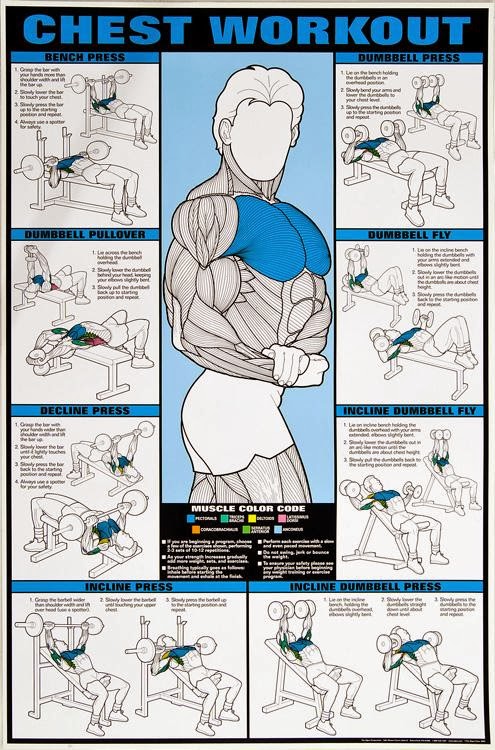 Image Gallery: Chest Workout