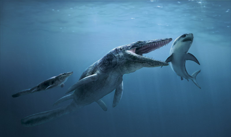 Tylosaurus.jpg