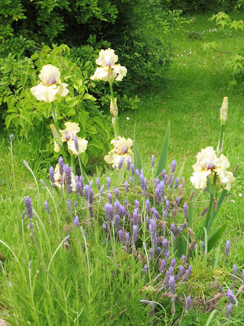 Mon Jardin Entre Terre Et Mer