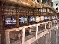 Using Recycled Building Materials at Galapagos Eco Lodge