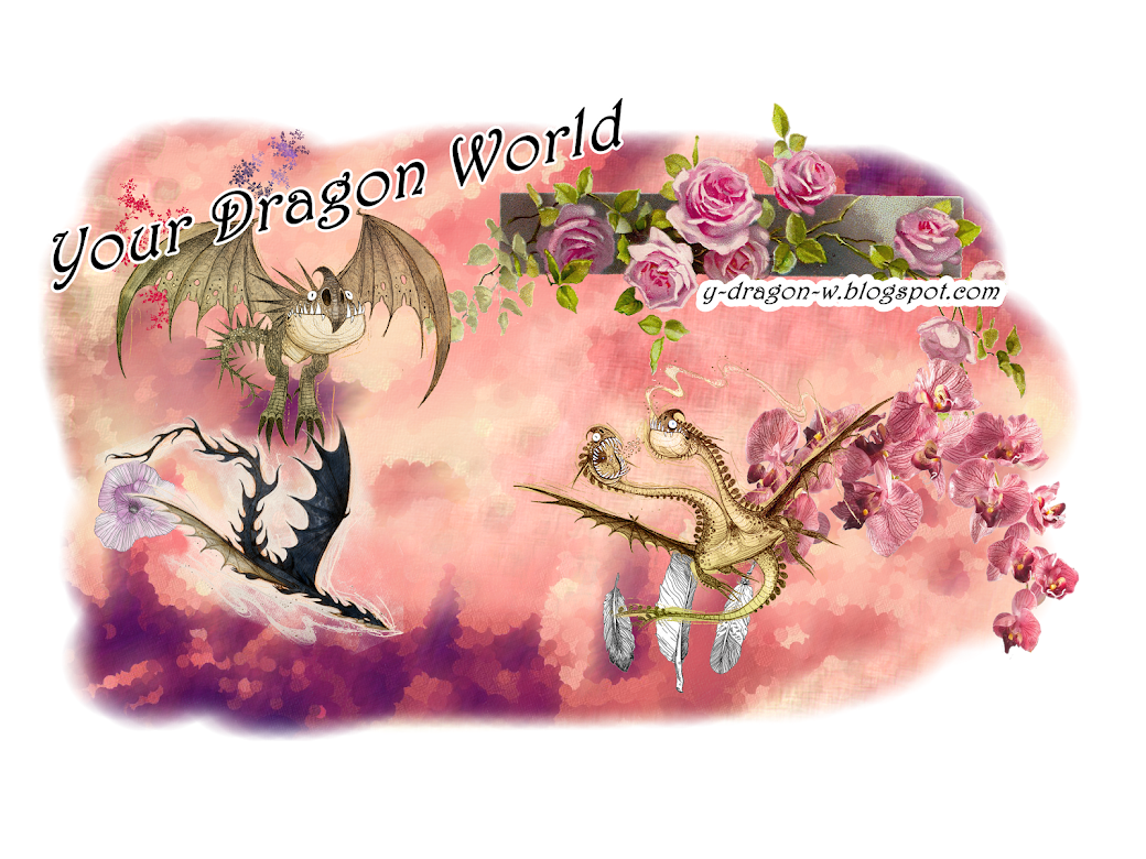Your Dragon World