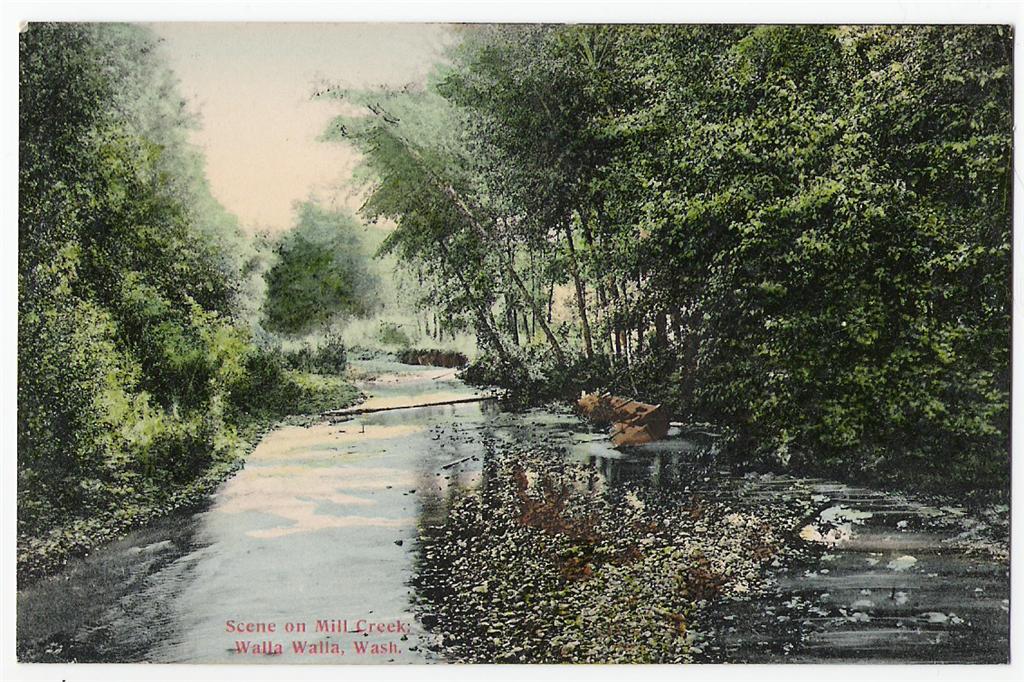 Bygone Walla Walla vintage images of the City and County (and beyond