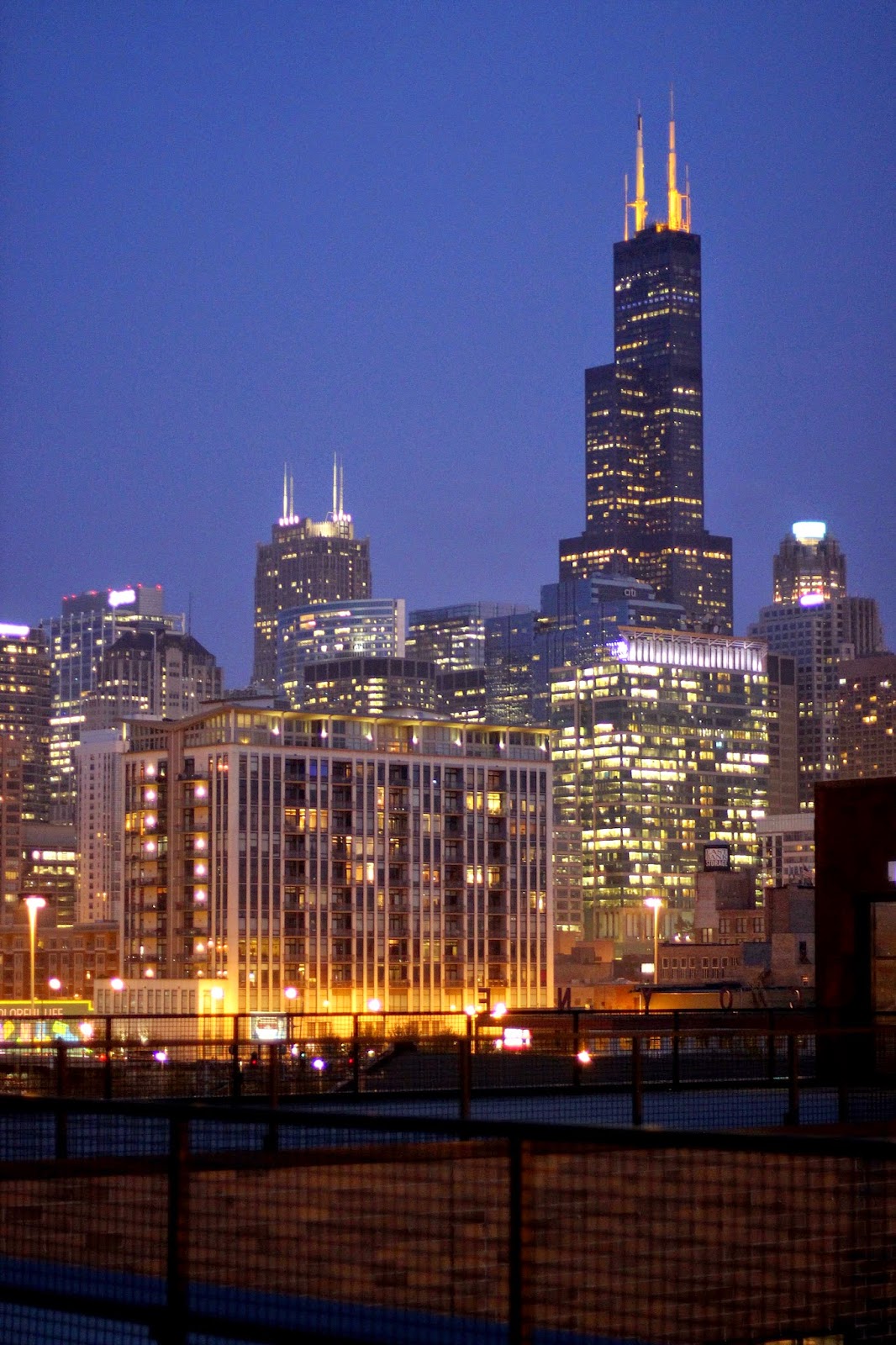 Chicago Eats The Brass Monkey chicago foodie girl