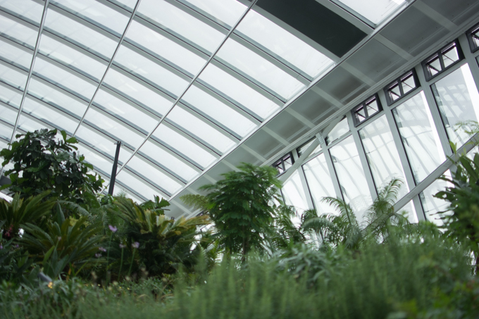 The Sky Garden London