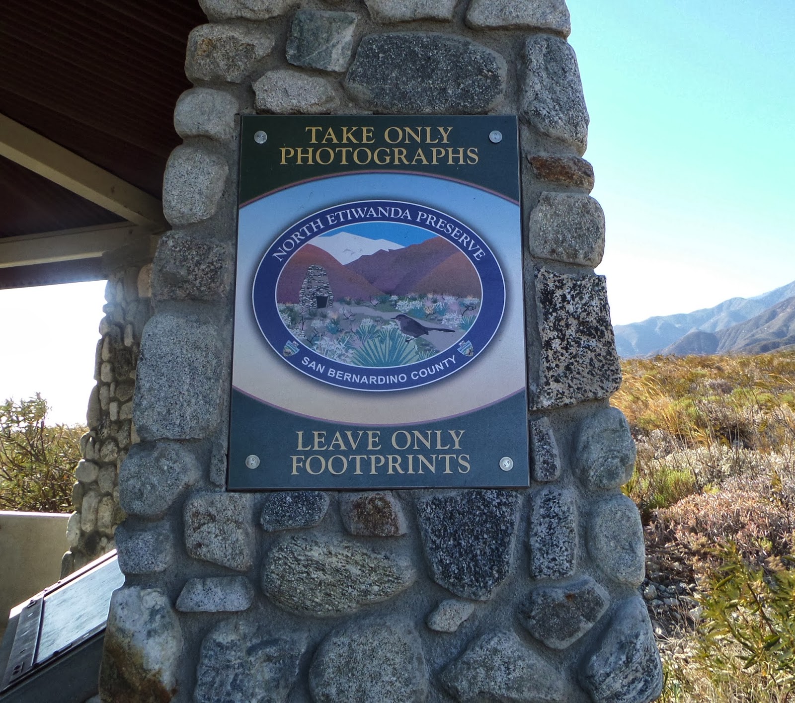 How Graffiti Art Can Improve Street Photography