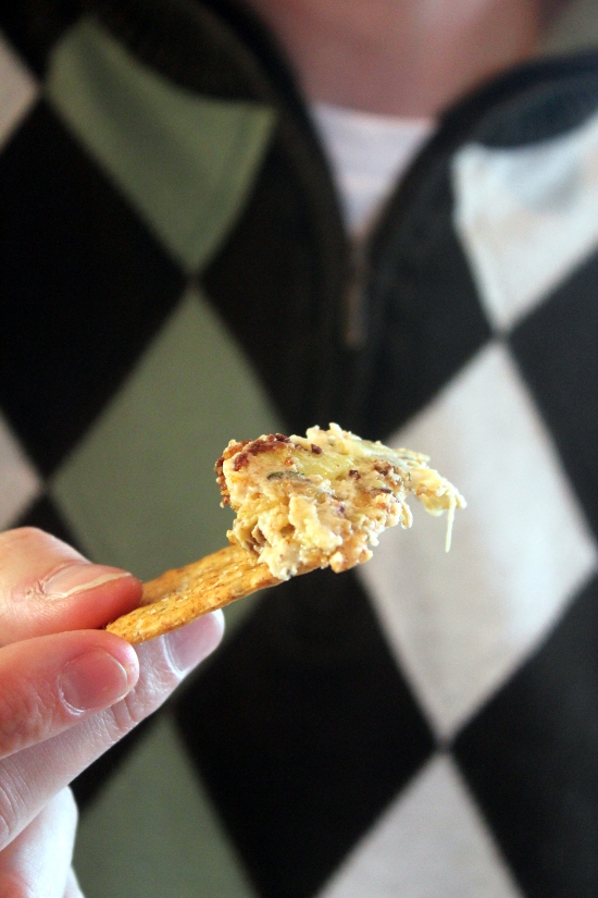 Kitchen Trial and Error roasted artichoke dip