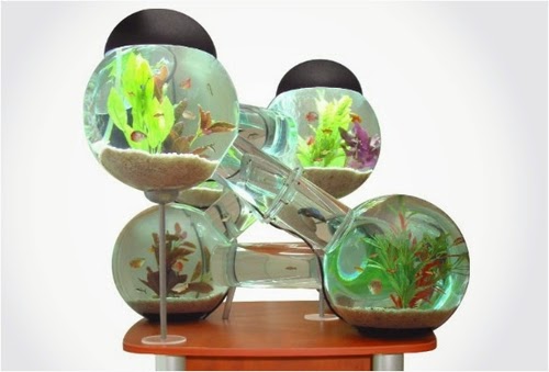 05-Labyrinth-Maze-Aquarium-Fish-Tank-Opulentitems-www-designstack-co