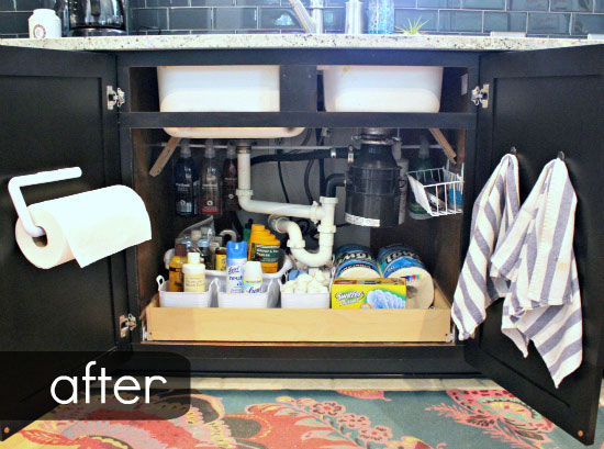 IHeart Organizing: UHeart Organizing: Think to Organize Under the Sink