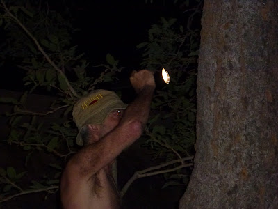  Iets horen in de inktzwarte duisternis van Shipandane night hide , is niet geruststellend.