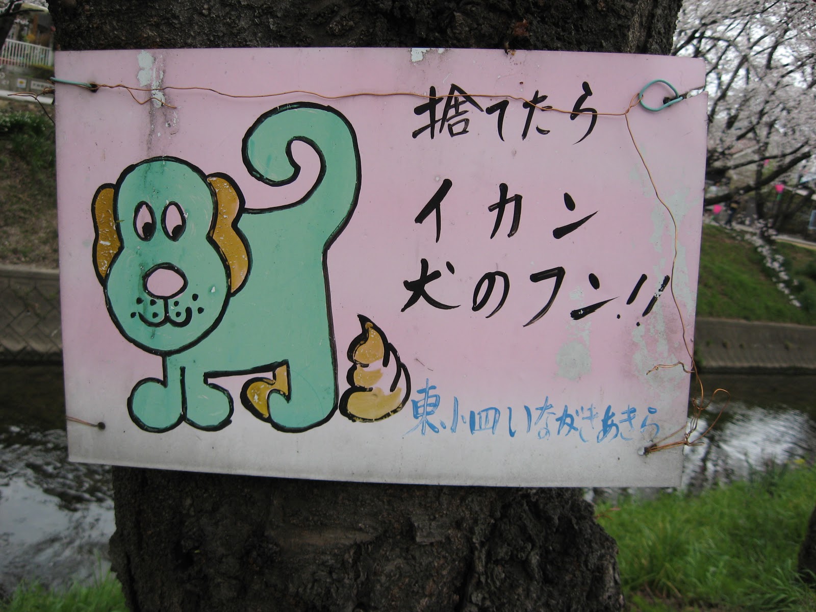 Chocolate Dog Poop
