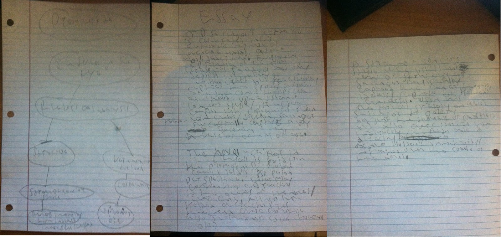 Ivygate columbia essays