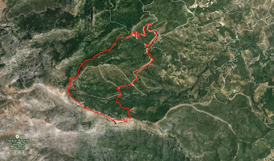 Perfil de la ruta en la Sierra de las Nieves
