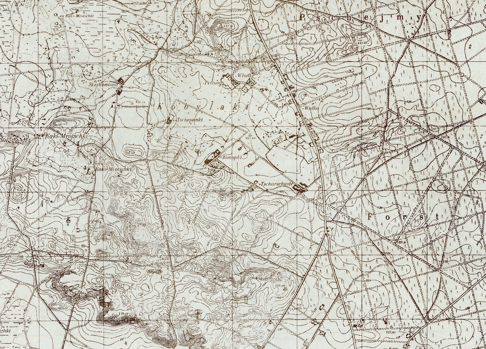 Kurpianka w wielkim świecie MAŁA OJCZYZNA Kobylaki Konopki, Korysze