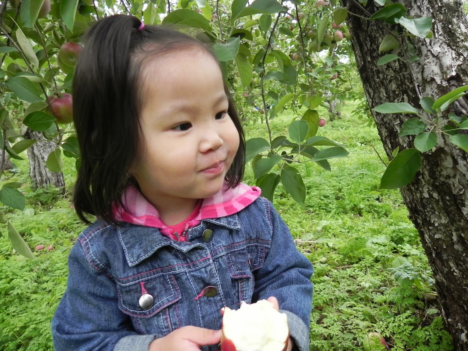 Noémie 2 ans 11 mois