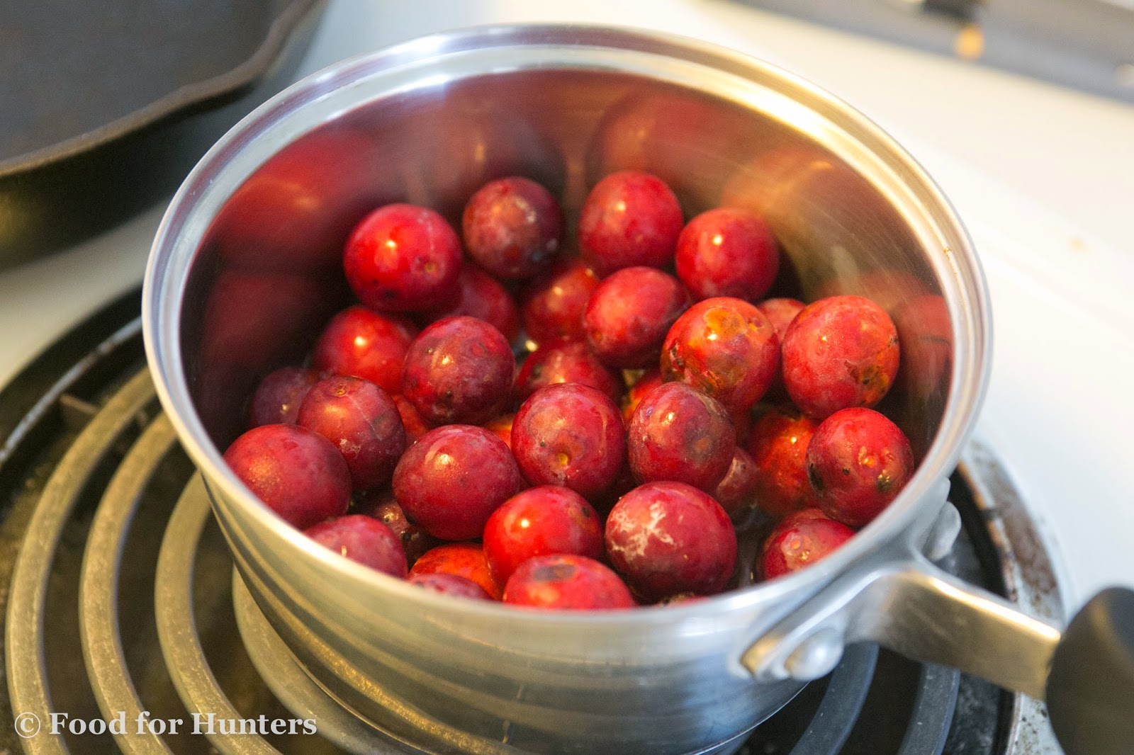 Food for Hunters Roasted Teal with Wild Plum Sauce